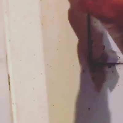 I can take care of it myself.