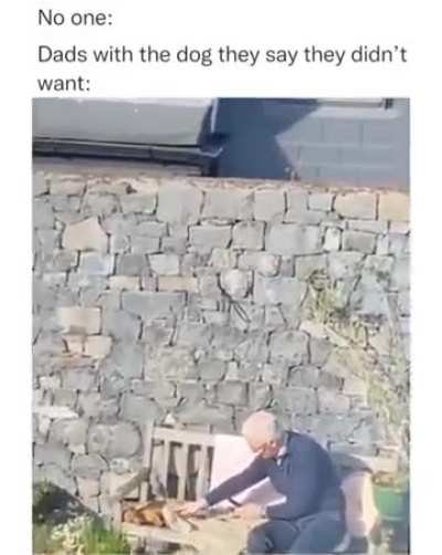 Always end up getting attached