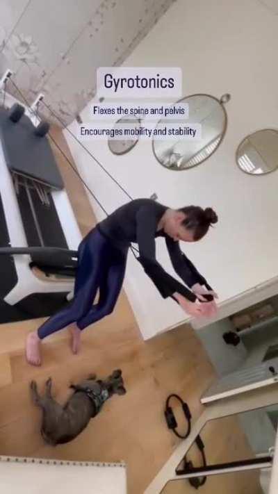 Exercising from IG (June 2023)