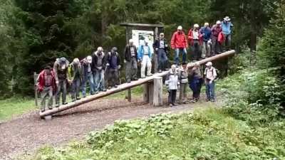 Old people falling off a giant see saw.