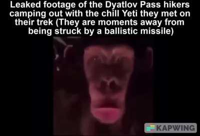 Poor Yeti must've noticed the missile and started freaking out