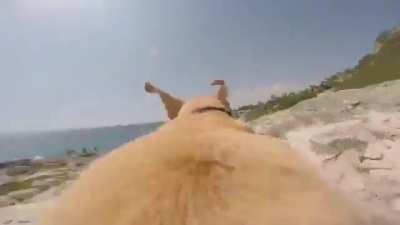 “The ocean... it calls me!!!”