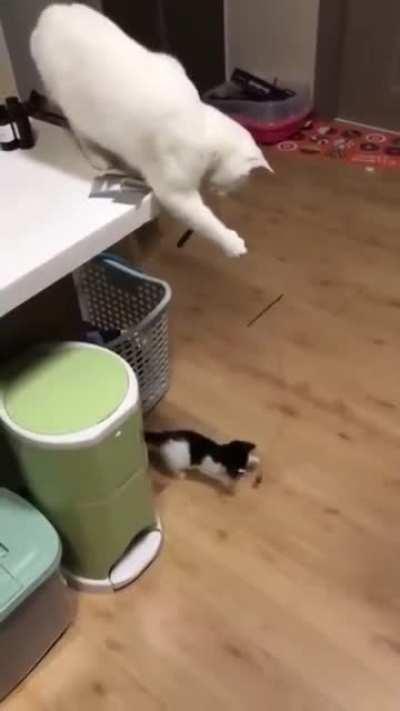 Поиграть с котёнком