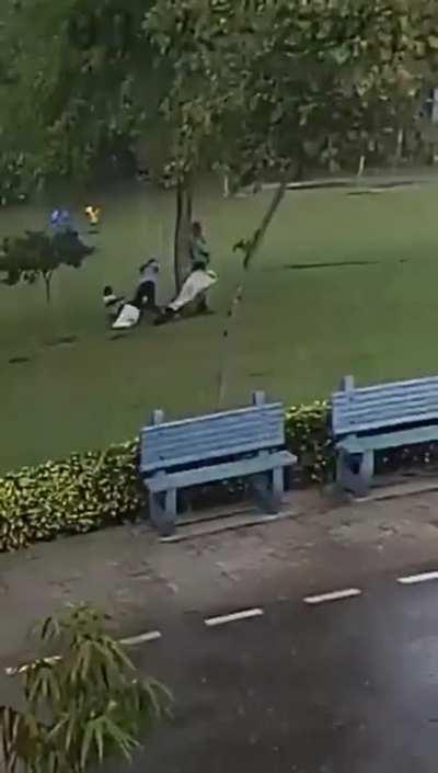 A group of people under a tree get struck by lightning