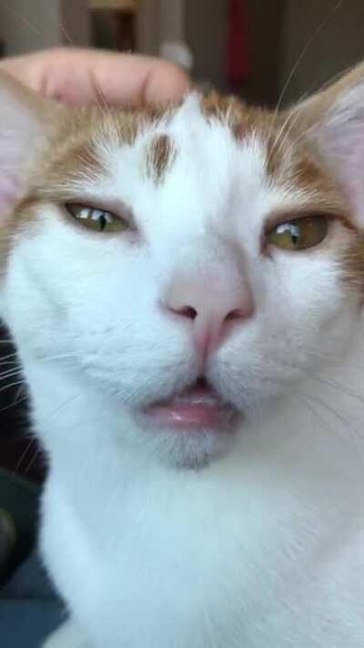 He let’s his mouth just hang open when he’s relaxed. What a derp.