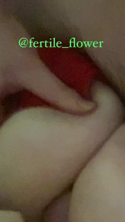 He always cums between my tits (OC) - @fertile_flower - reddit