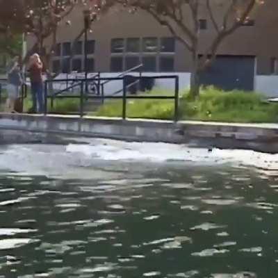 Best skateboard trick ever