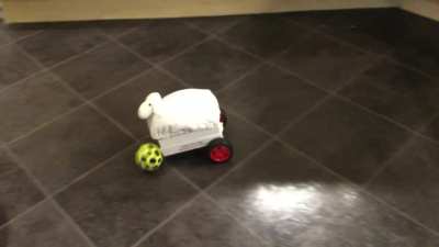 Meet mechanical sheep. A hand-built RC sheep made by me to show I am a true sheep fan.