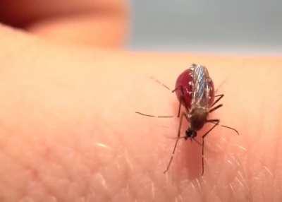 Drank way too much...