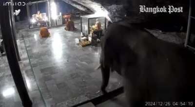 Are non human screams allowed in this sub 😂