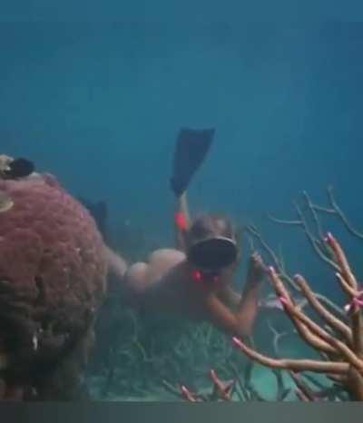 Helen Mirren Over The Years