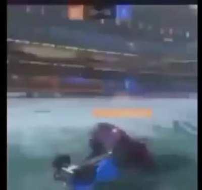 Cars (Childhood destroyer edition)