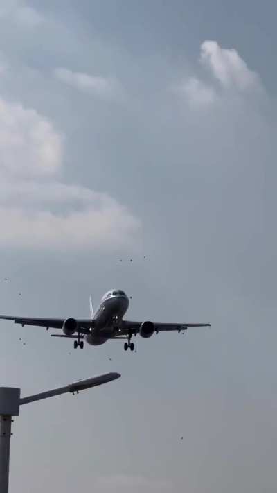 Airplane hits a flock of birds mid-air.