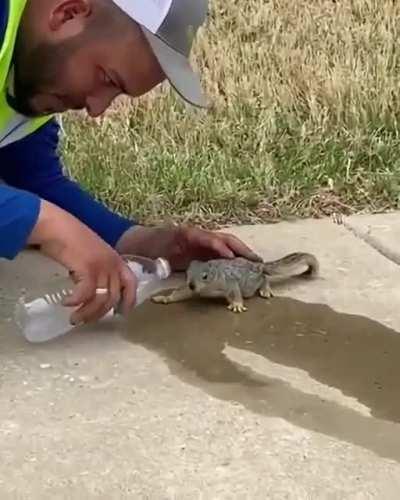 Lil Darkie making friends with a squirrel