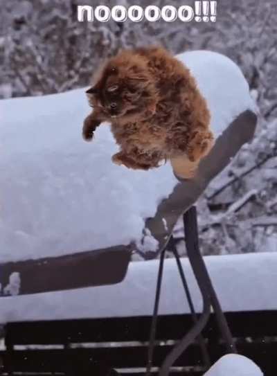 Expectation v Reality