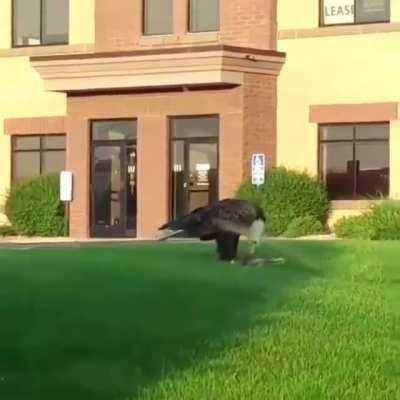 Wtf? That thing is huge!