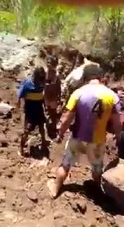 Prefectura enterró pollos de contrabando y la gente excavó para recuperarlos y comerlos.