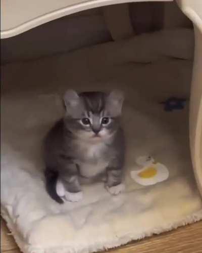 He realized life😂