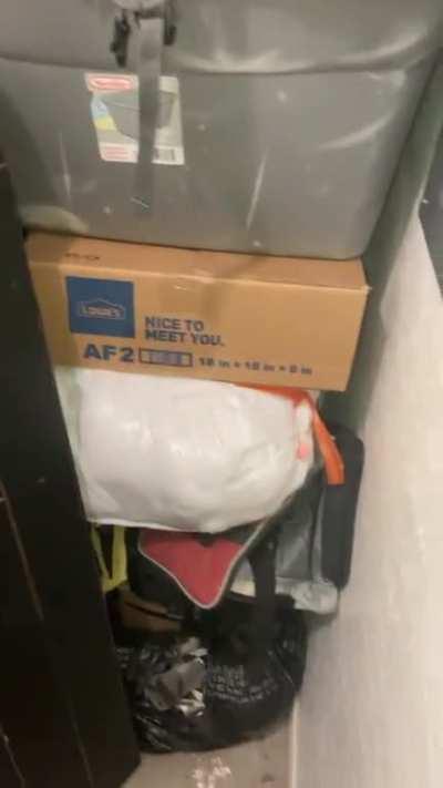 Normal Tarkov experience :)