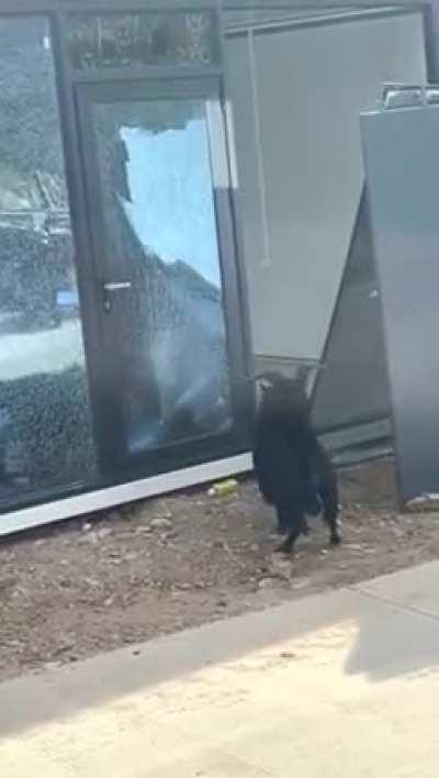 Hey!!!!! Do you have five minutes to talk about satan?