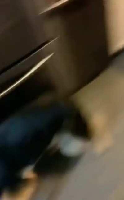 Not much of a guard dog