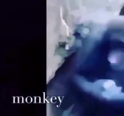 me every time this part comes on