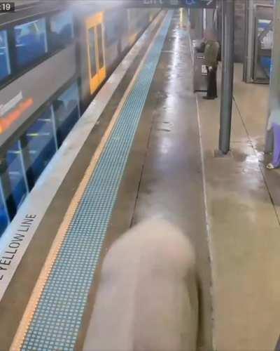 I'm gonna take my horse to the old town road.