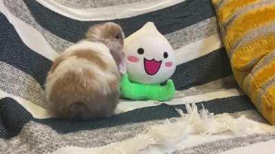 more strudel content?