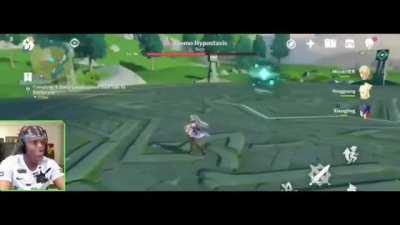 Ah yes, Anemo Hypostasis.