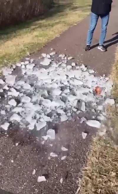 Peace was never an option.