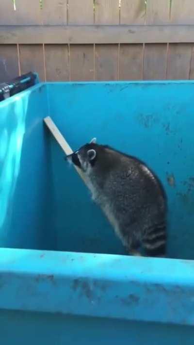 It Worked Out Much Better In My Head