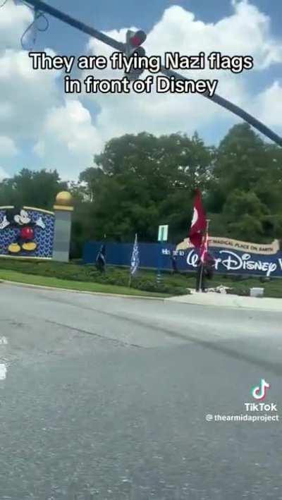 MAGA Nazis protesting in front of Disney because of course.