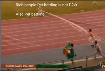 Hurry,pet battlers are asleep upvote before this gets deleted