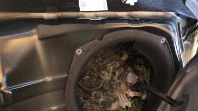 The customer wonders why the car interior smells like fuel. The squatter tells the mechanic to get out and shuts the 