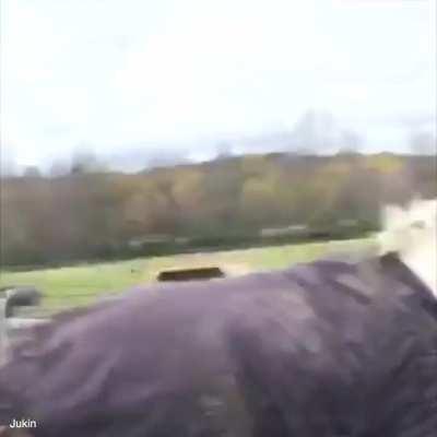 When the mask comes off