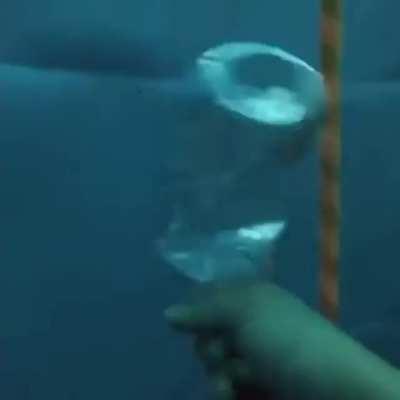 A diver showing the change in air pressure