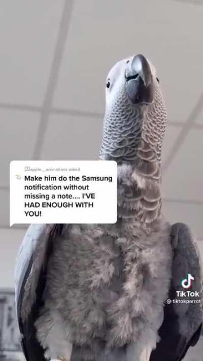 Birds are now phones! This has to stop!!!