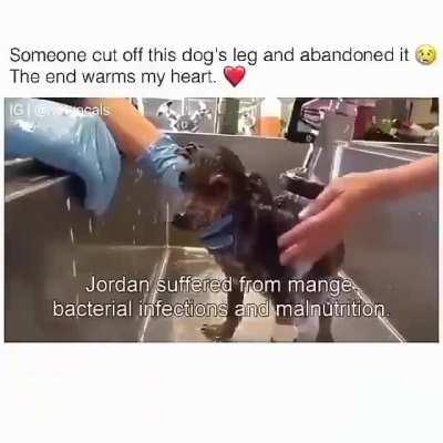 How could people so cruel!