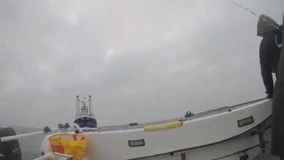 Chaos ensues [OC] (local fisherman are fine)