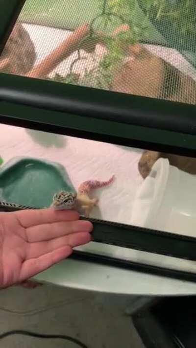 Magical moment I have to share... third time he has ever done this!