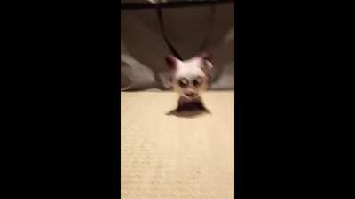 I threw a beer can at Car