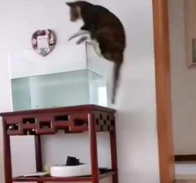 That's not a table...