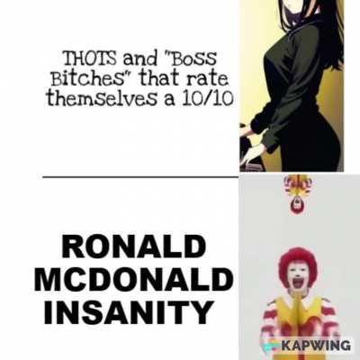 Only Touhou and Mugen fans would understand