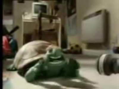 I made a remix of the turtle speaking persian