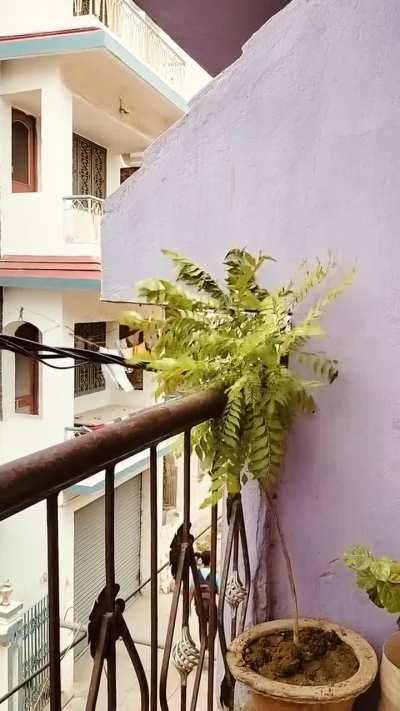 Need another class innings like this from REAL THALA tomorrow 💪 