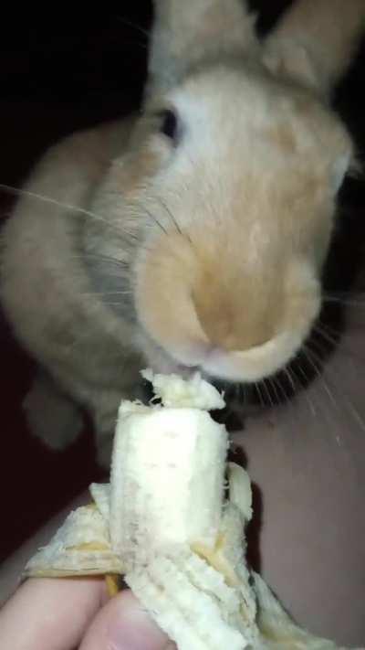 She stole my banana >:(