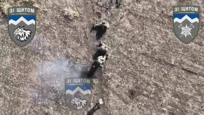 UAF drone attacks russian soldiers who tries to evacuate a wounded