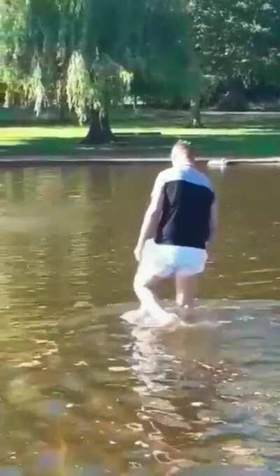 Man reluctantly walks into pond