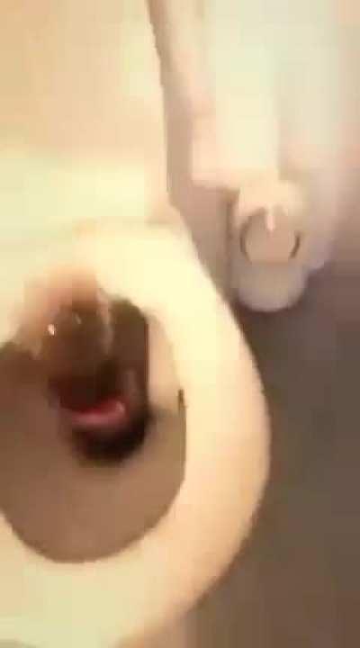 Who thought that this was a good idea?