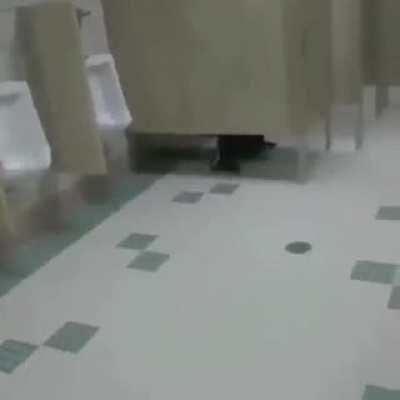 Dont go into Ikea Toilet